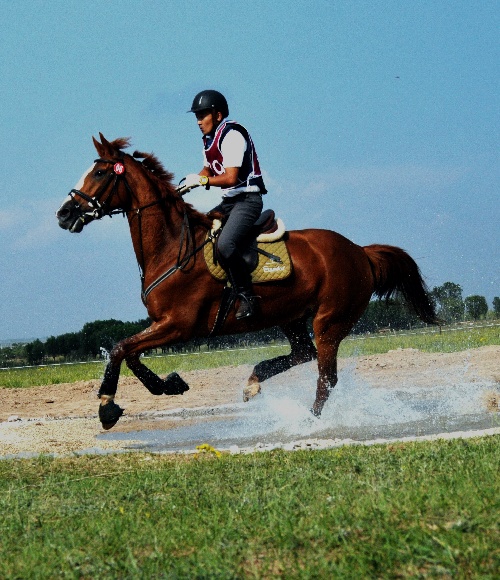 巴勒斯坦选手在马术比赛中表现优异