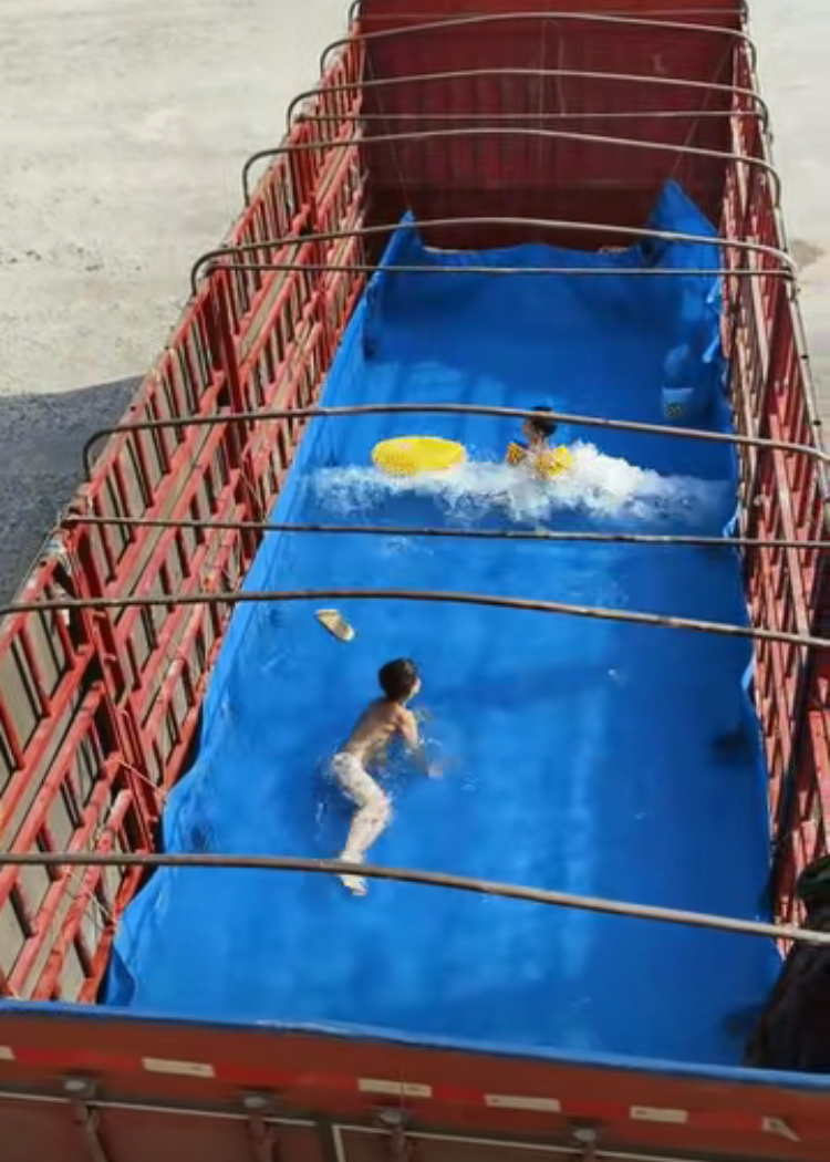 开云体育APP下载-关于游泳热度飙升，网友热议不断的信息