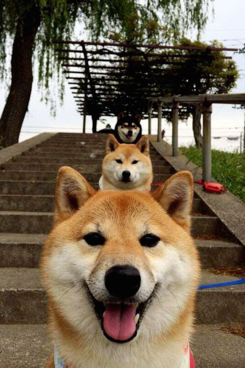 开云体育平台APP-末节惊天逆转！埃及带走胜利，布雷默关键先生闪耀赛场