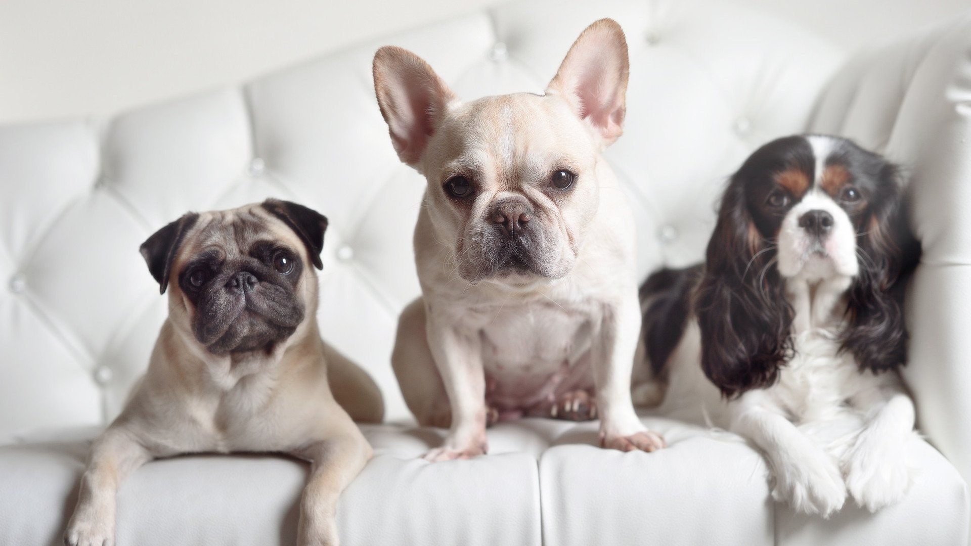 开云体育-哈弗茨，用优雅统治战场—西班牙对阵爱尔兰的全能枢纽解析