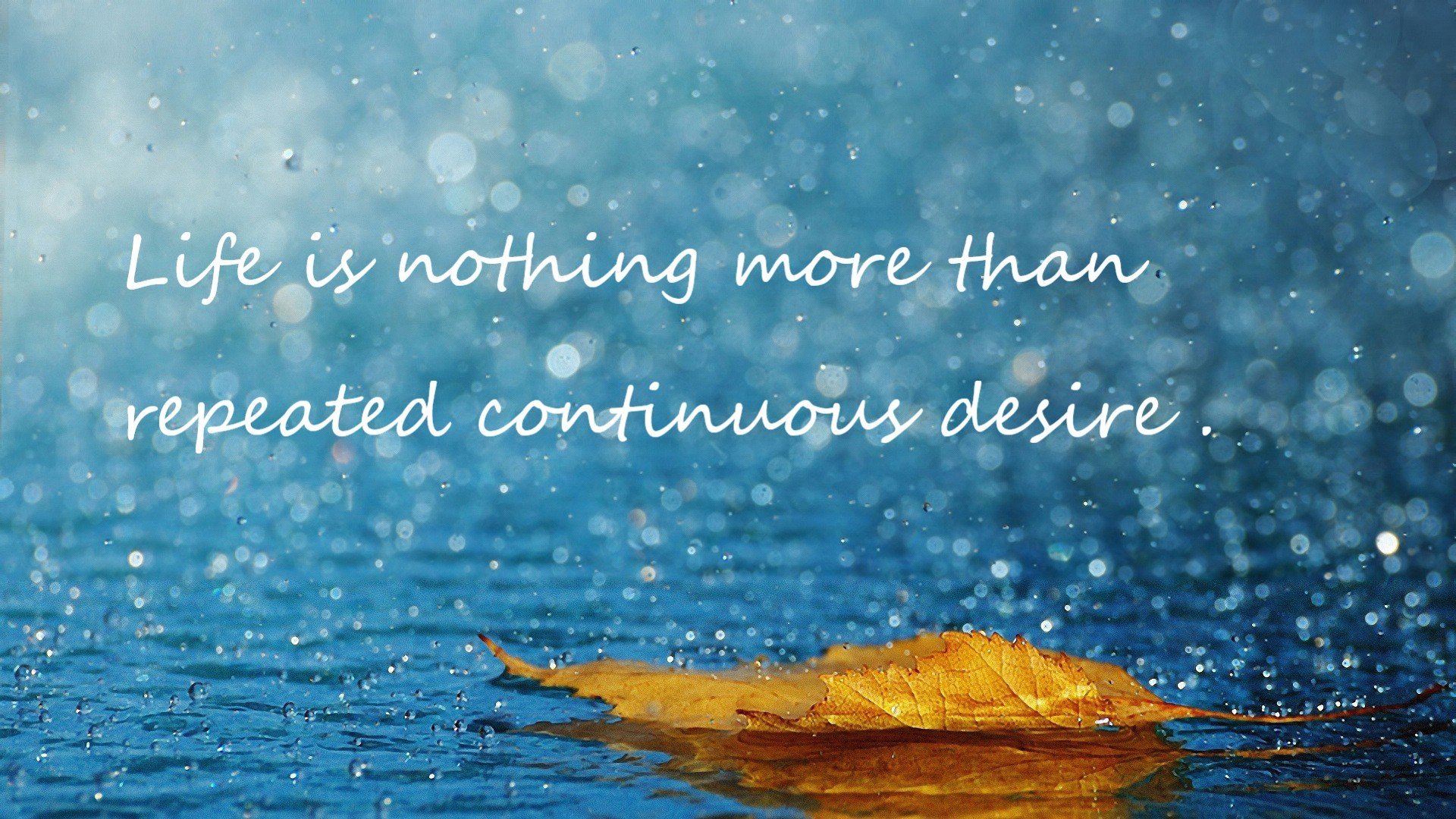 双重王冠，萨拉赫在美加墨世界杯之夜的攻防统治