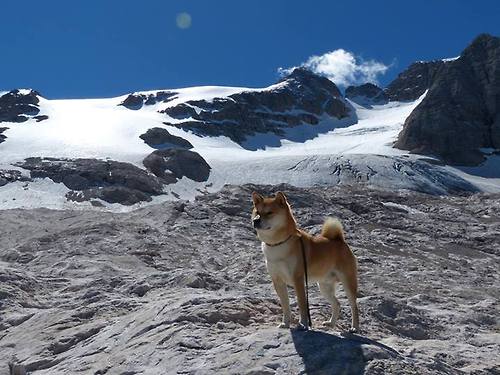 开云体育中国-时代的悲歌与序曲，广厦冲垮深圳与班凯罗的生死战启示录