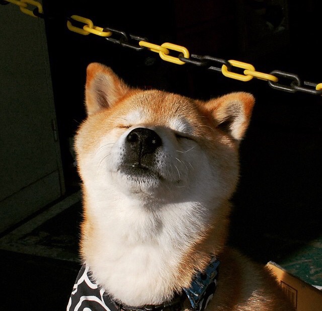 破壁，巴斯托尼的觉醒与皇马的欧冠逆转之钥