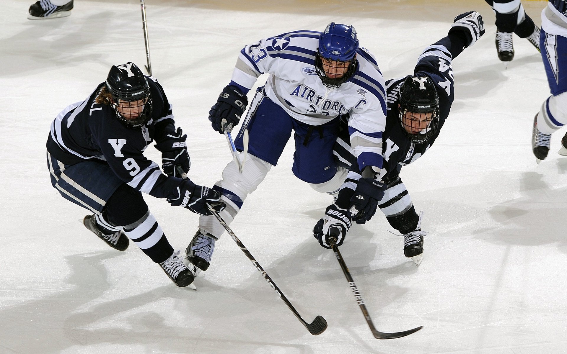 猛禽袭卷紫金王朝，爱德华兹利刃出鞘，老鹰踏平湖人
