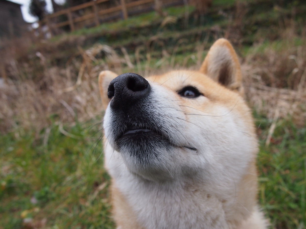 中场革命，从卡马文加的完美拼图到巴萨的体系收割