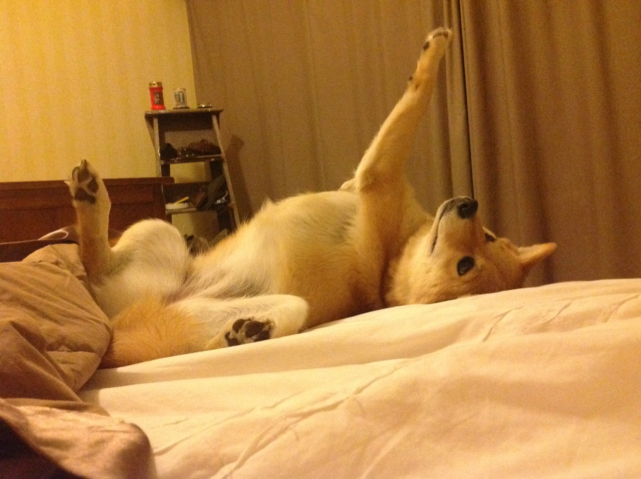 开云体育下载-锁死！秘鲁的防守绞索如何让雷恩窒息于世界排名争夺焦点战