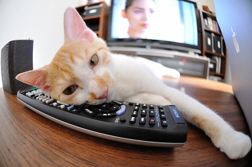 芬兰奇迹！伊布绝杀莱比锡红牛，北欧精神席卷欧陆