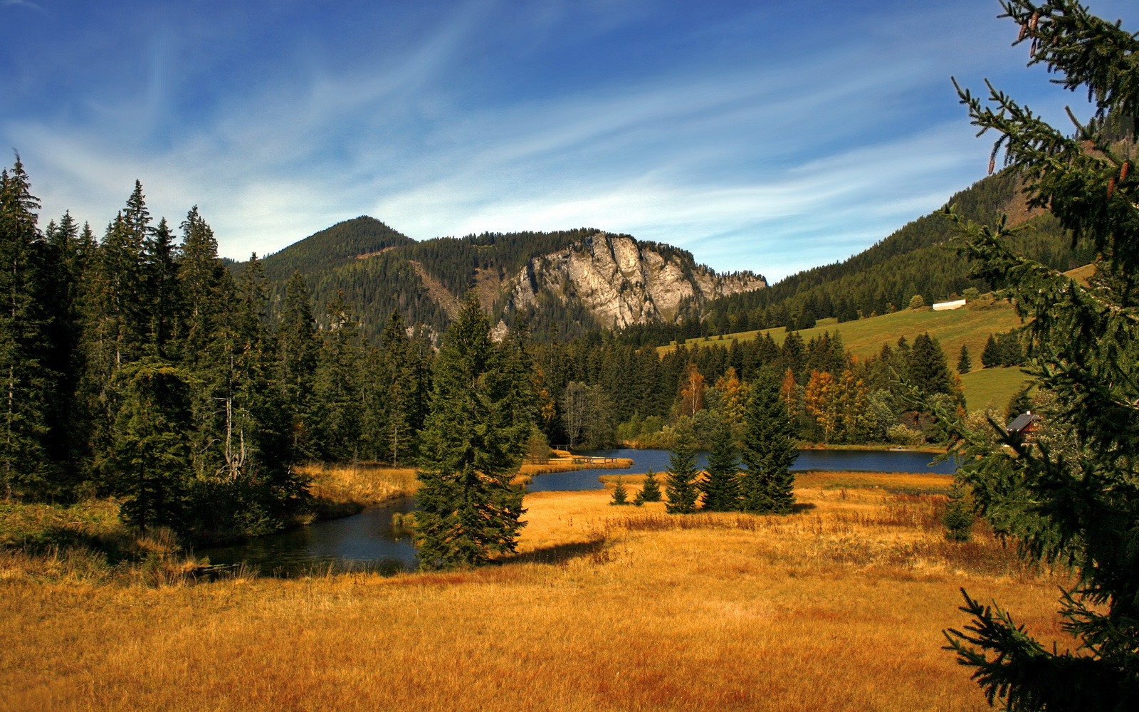 开云体育APP下载-东方的沙漠风暴，沙特火力如何压制红色铁骑，阿劳霍缘何化身关键先生