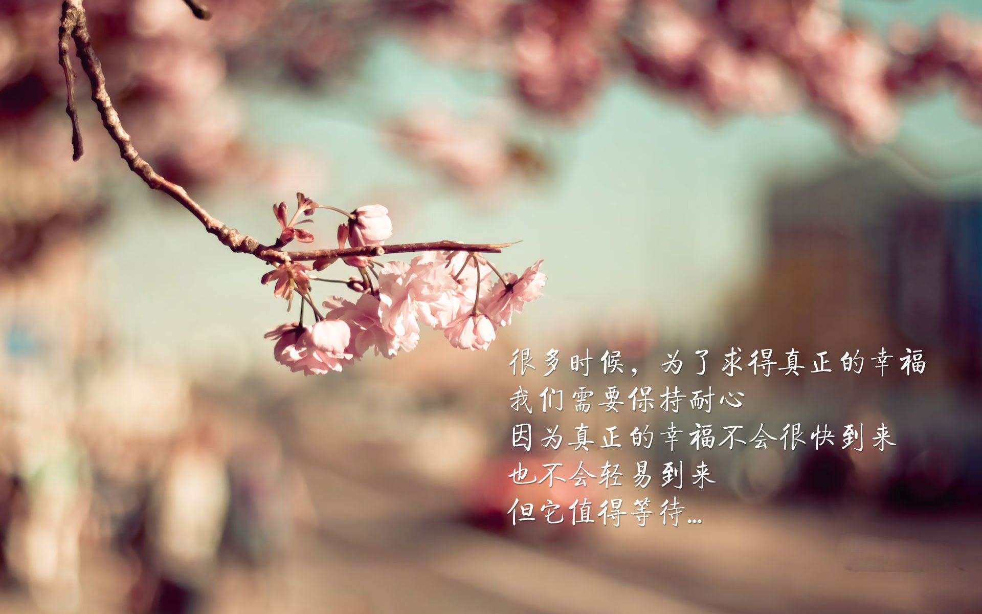 美加墨世界杯倒计时,当足球盛宴的号角,遇见篮球场上的终结者