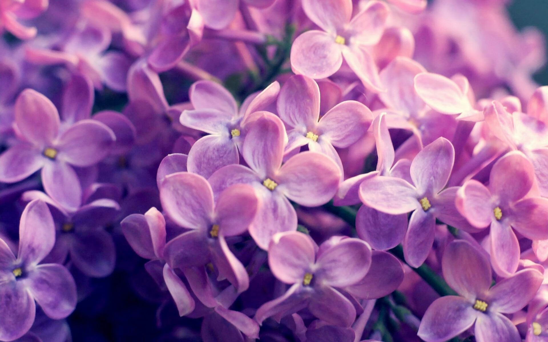 爵士血拼灰熊激战至最后一刻，克莱化身关键先生主宰胜负