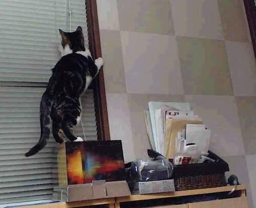 开云体育在线-绝境逢生！勇士西决抢七最后三秒逆转掘金