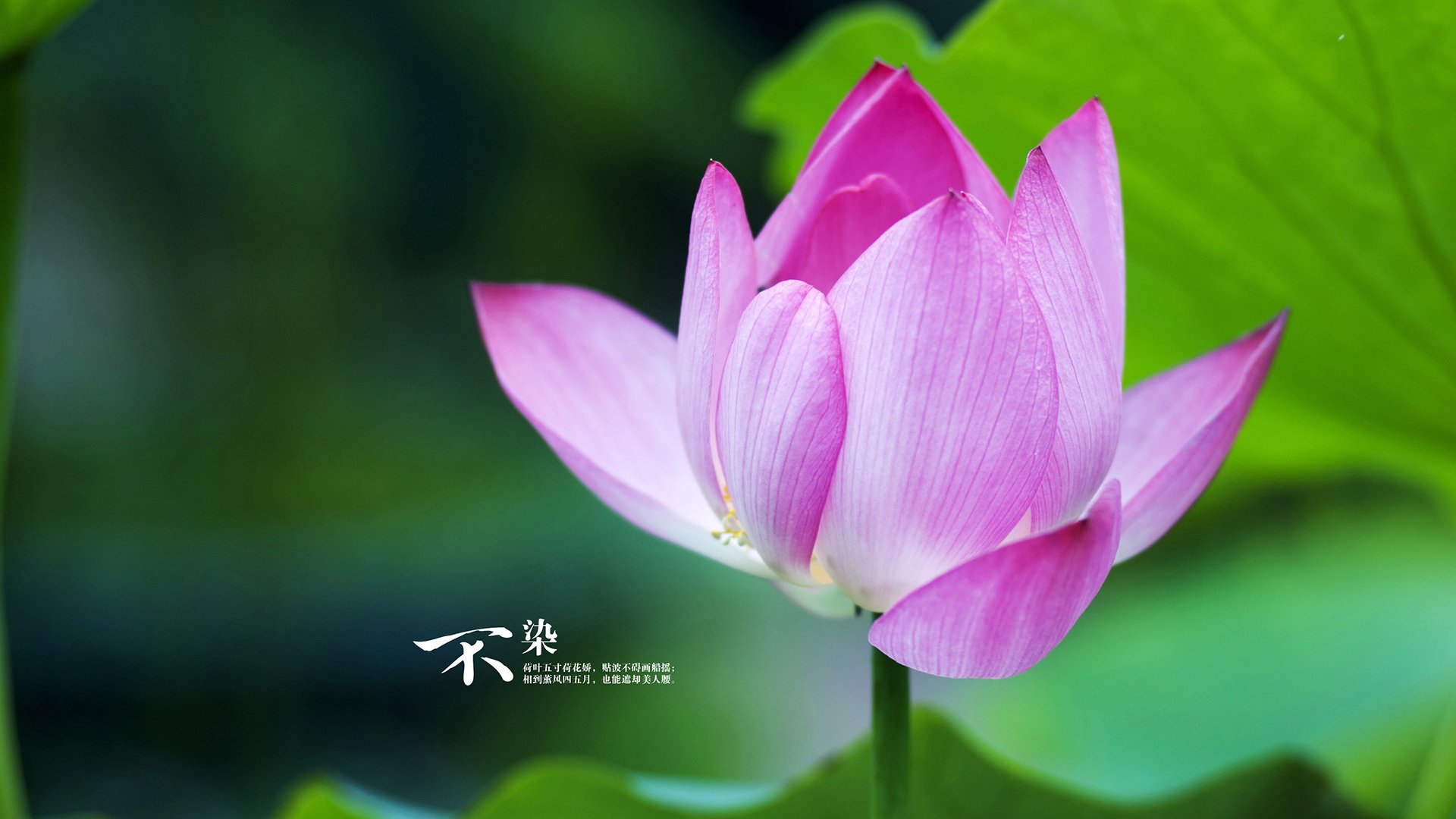 奥亚尔萨瓦尔，2026世界杯之夜，一个孤独英雄点燃的永恒火焰